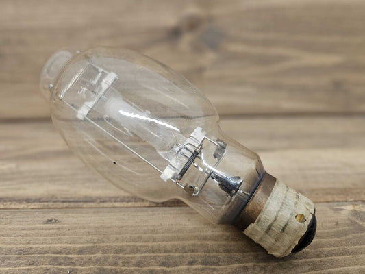 Vintage oversized salvaged lightbulb