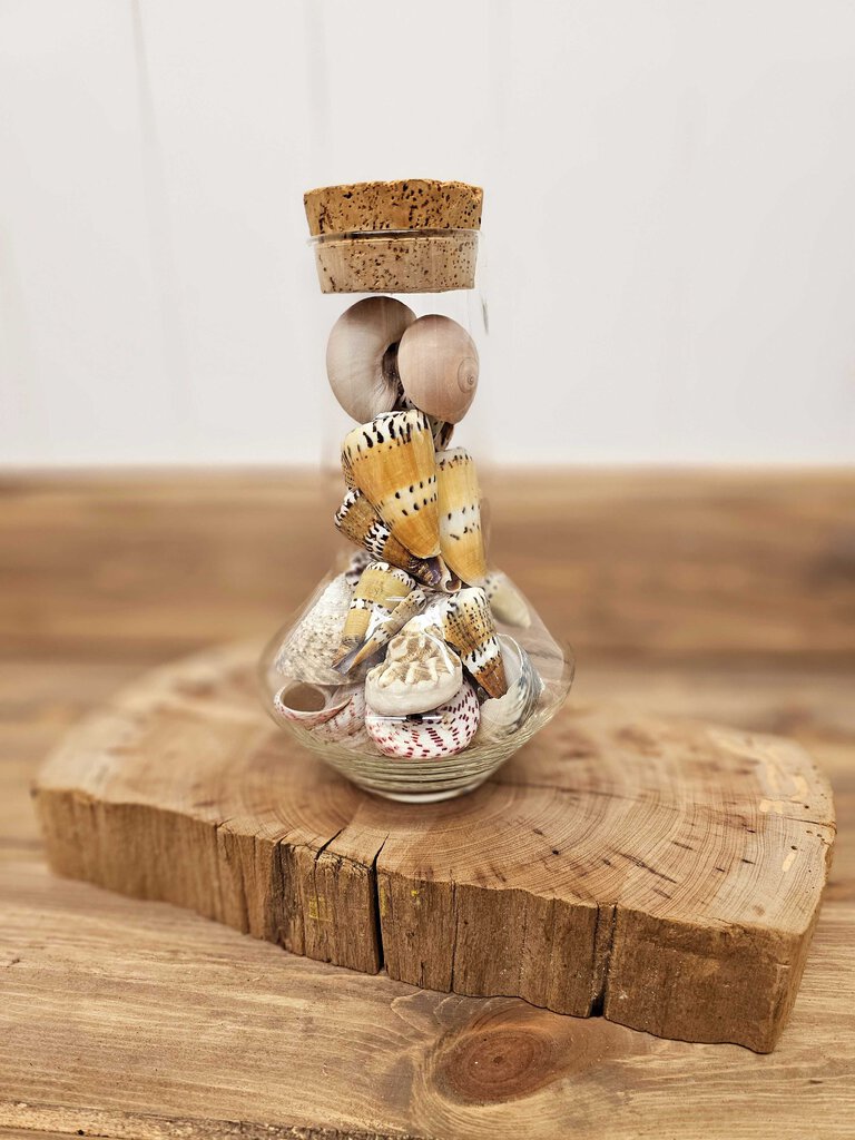 Vintage Jar of natural seashells