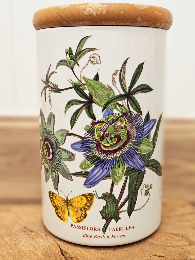 Vintage Set of 4 Portmeirion Botanical Garden Canisters