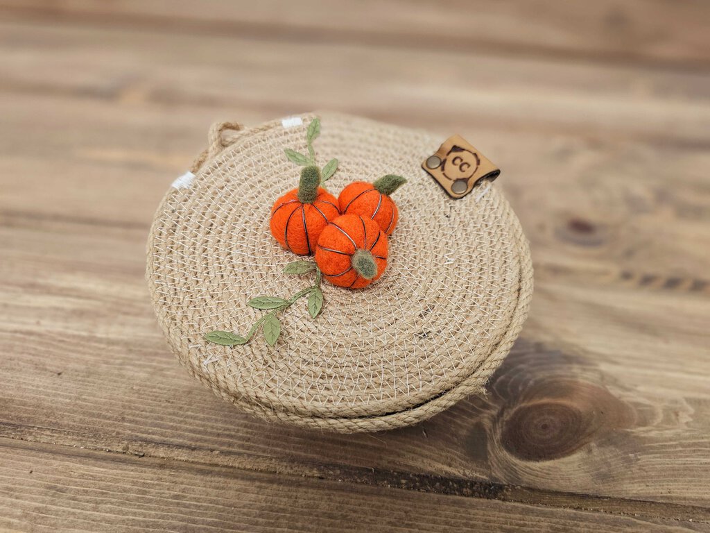 Handsewn Cotton Rope Lidded Pumpkins Trinket bowl